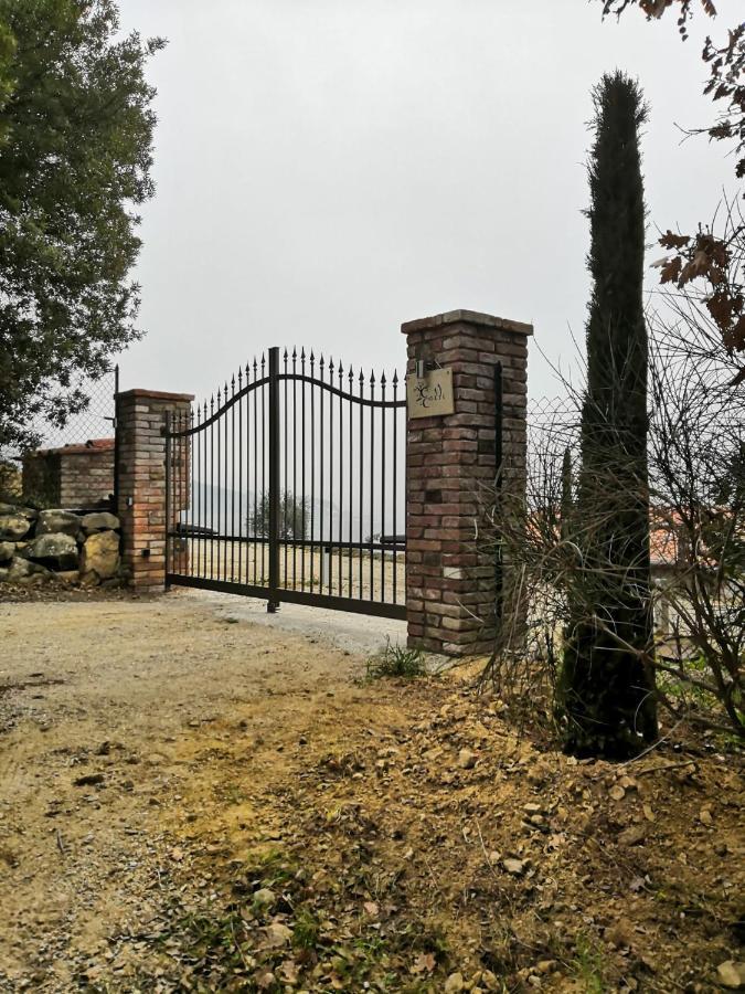 Di Colle In Colle - Country House With Private Pool تورو سول تراسيمينو المظهر الخارجي الصورة